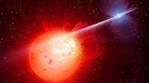 Fast-spinning white dwarf pulsar, the 2nd we've ever discovered, sheds light on how stars evolve