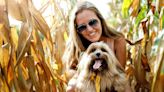 Want To Bring Your Dog to a Corn Maze This Fall? Read This First