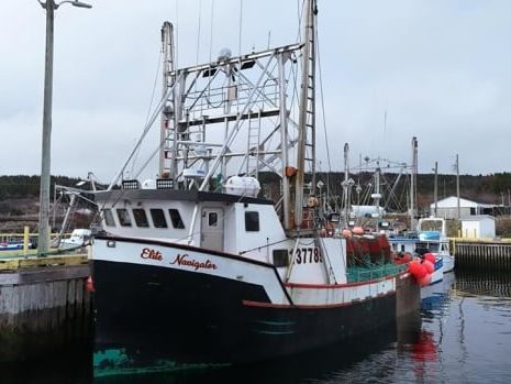 Missing N.L. fishing crew found safe, returning home | CBC News