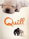 Ein Hund namens Quill