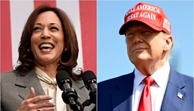 ¿Kamala Harris vs. Donald Trump? Cómo será la inédita votación en línea que definirá al candidato demócrata