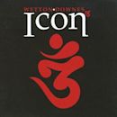 Icon 3