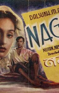 Nagina