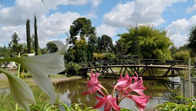 Jardim Botânico de Brasília recebe atividades gratuitas para promover bem-estar e saúde mental; veja programação