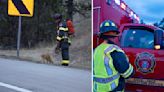 Hero Cat Rushes Toward Accident Scene 'Determined To Help' First Responders