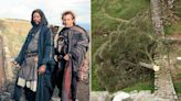2 Men Charged with Chopping Down Iconic Sycamore Tree Featured in Kevin Costner's “Robin Hood ”Film