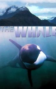 The Whale