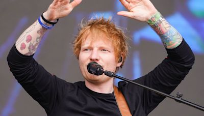 Un refugio de animales de Tenerife lanza una campaña para que lo visite Ed Sheeran: "Puede ayudarnos a salvar a miles de animales"