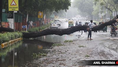 Delhi News Live Updates: IMD issues orange alert for Delhi till July 4; city reports 11 rain-related deaths