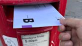 Council boss 'mortified' by postal vote delays