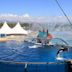 Marineland