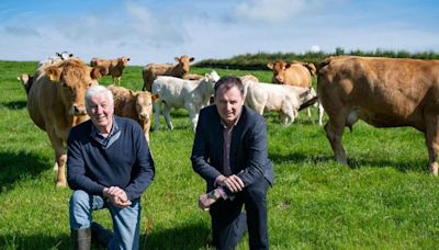 McConalogue clarifies Beef Welfare Scheme eligibility