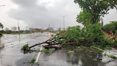 高雄清晨狂風暴雨「如颱風」 路牌被吹倒、路樹倒整排