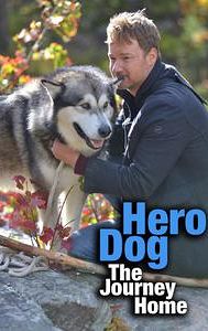 Hero Dog: The Journey Home