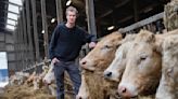 Frustrated farmers are rebelling against EU rules. The far right is stoking the flames