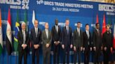BRICS Meeting: India pushes for solutions for long-pending mandated issues of WTO - ET Government