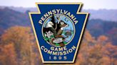 Pennsylvania Game Commission to Spray Over 123,000 Acres to Control Invasive Insect Species