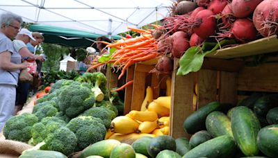 Cape Cod farmers market guide: Harvest season means great local food