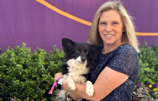 Westminster dog show has its first mixed-breed agility winner, and her name is Nimble