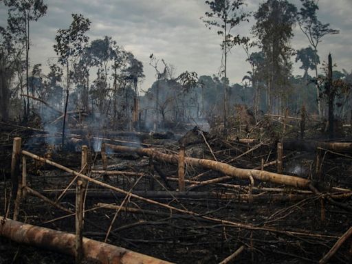 La Nación / Brasil sufre el rigor del clima: tras las inundaciones, ahora anuncian sequía “severa”