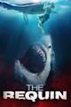 The Requin