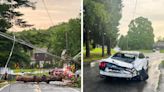 Lightning Strike Causes Tree To Fall On Car In Mahopac