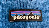 Patagonia Sues Companies Allegedly Facilitating Counterfeit Imports