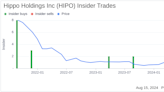 Insider Selling: Chief Revenue Officer Yuval Harry Sells Shares of Hippo Holdings Inc (HIPO)