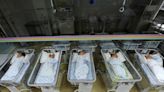 As China's birth rate slumps, political advisor urges egg freezing for single women