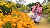 Colorblind visitors get new view of Ventura Botanical Gardens with EnChroma glasses
