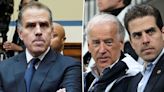 Democratic insiders irked as Hunter Biden attends public White House events: ‘Such a blind spot’