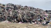 屏東琉球鄉垃圾清運9度流標 500噸垃圾堆積成山惡臭難耐