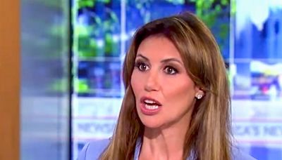 'The judge blamed you': Fox News host turns tables on Alina Habba over Stormy Daniels