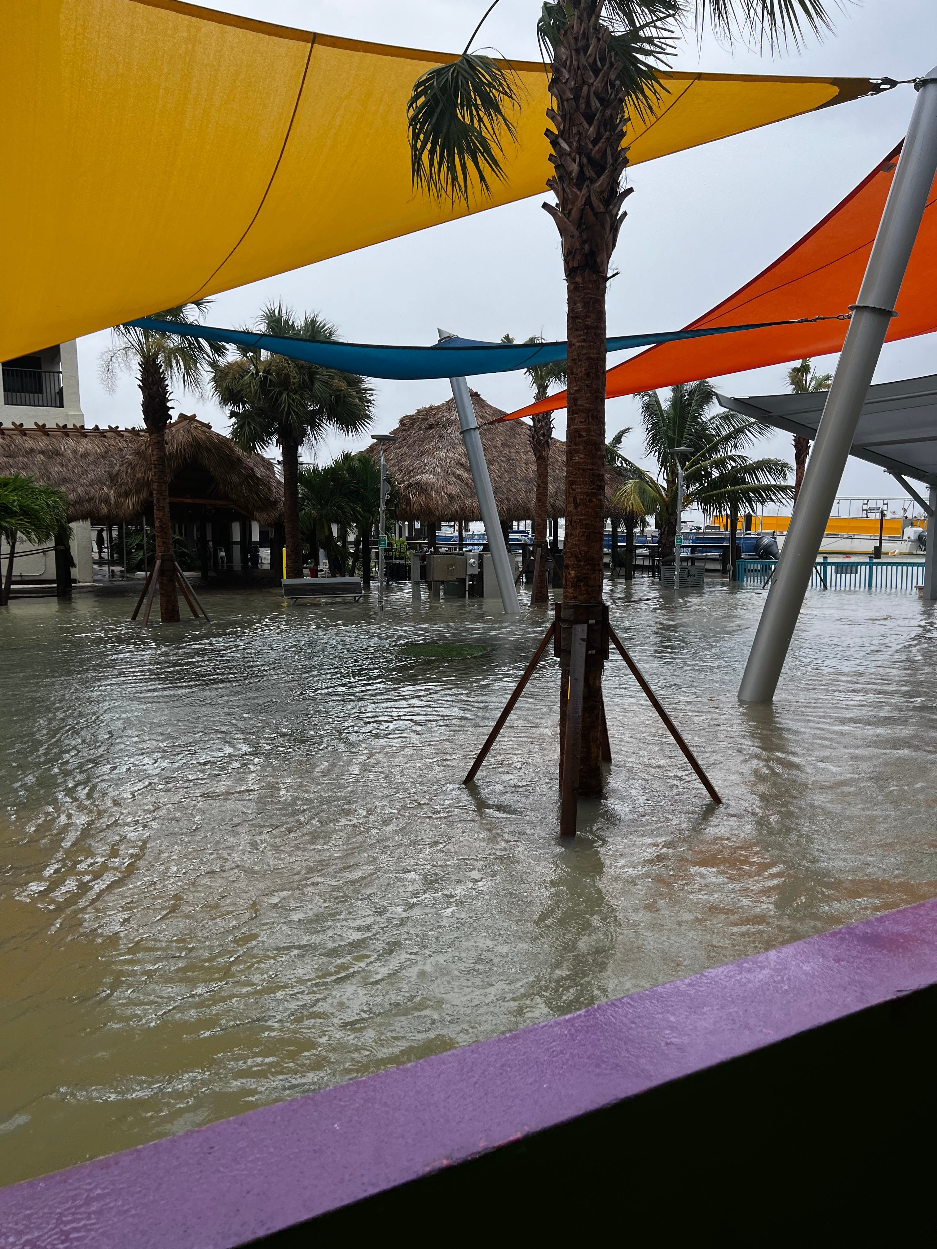 Tropical Storm Debby impacts Lee County. Fort Myers Beach, Sanibel, Bonita Beach flood