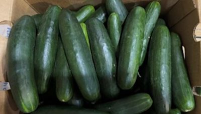 FDA: Recalled Florida cucumbers with salmonella might not be linked to outbreaks after all