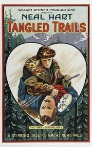 Tangled Trails