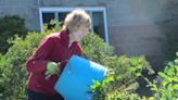Interested in becoming a master gardener? Here's how