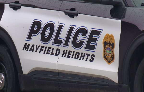 10 juveniles arrested by Mayfield Heights police after fights break out at St. Clare Festival in Lyndhurst