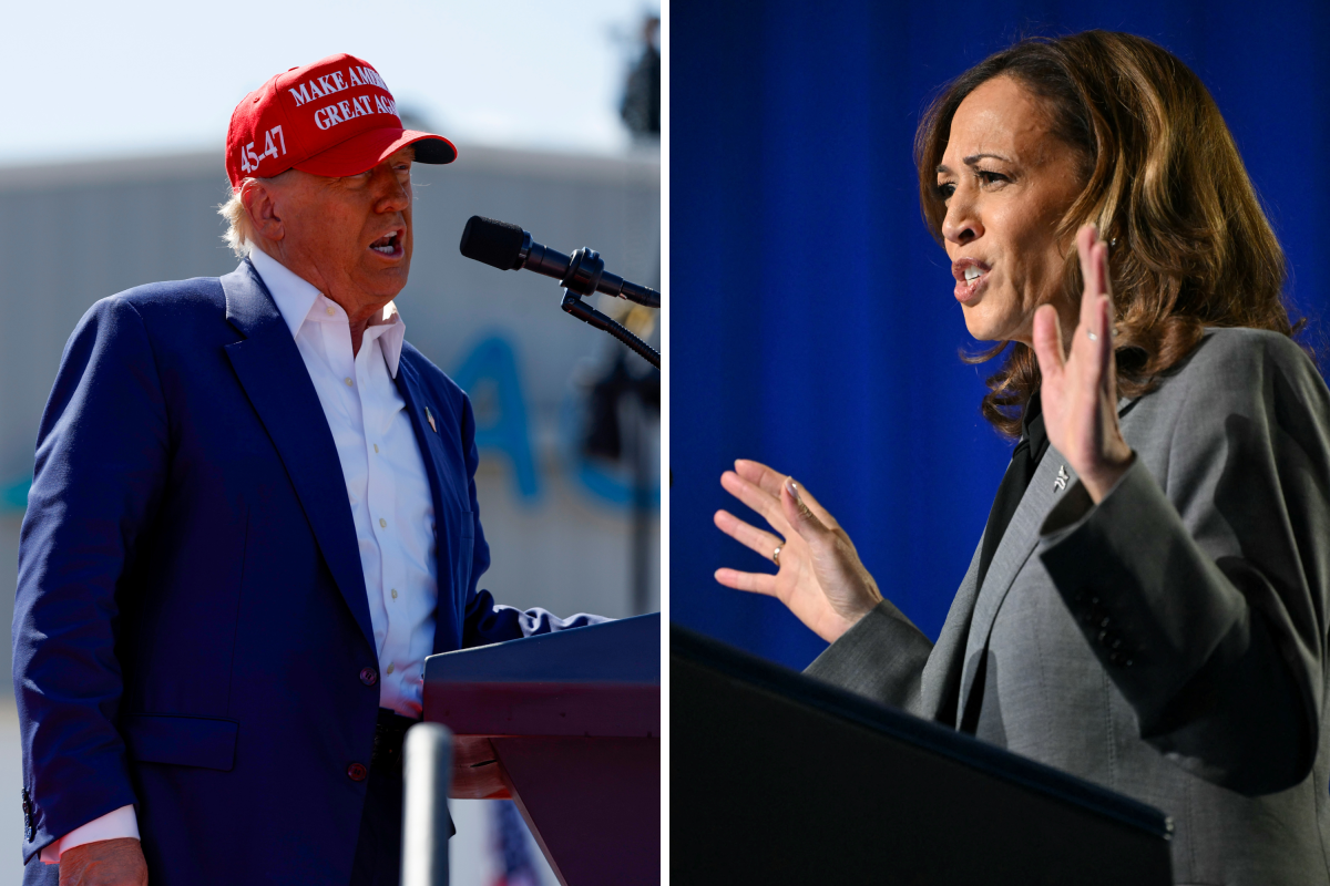 Kamala Harris sees historic surge in popularity—New poll