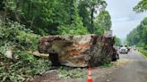 Large boulder closes portion of roadway in Washington County, Virginia