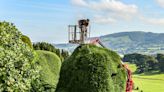 Worker prunes 55ft 18th-century hedges using cherry picker in ‘world’s toughest gardening job’