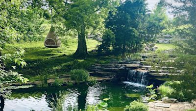 Yes, You Need a Natural Swimming Pool This Summer