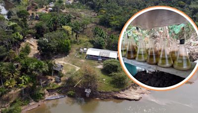 Narcotráfico en Huánuco: comunidad indígena denuncia contaminación en sus ríos por laboratorios de cocaína