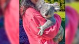 Si son tan ‘pachoncitos’: La razón por la que un santuario en Australia prohíbe abrazar koalas