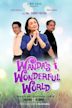 Wanda's Wonderful World