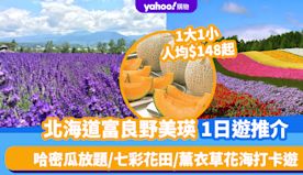 北海道旅遊｜富良野美瑛1日遊推介！1大1小、人均$148起 札幌...