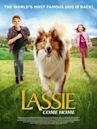 Lassie – Eine abenteuerliche Reise