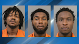 Three men arrested after reportedly delivering contraband at FCI Williamsburg Prison