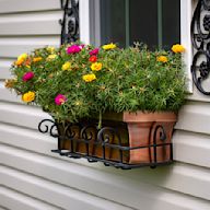 Long, narrow containers designed to fit on the outside of windowsills. Can be made from wood, metal, or various types of plastic. Perfect for bringing a touch of nature to urban homes.