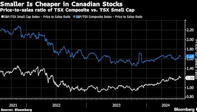 Fed Outlook Gives a Tailwind to Forgotten Canadian Small Caps